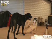 A Sam Hotshot - Dog sex toy